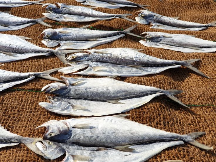 dried fish (1)
